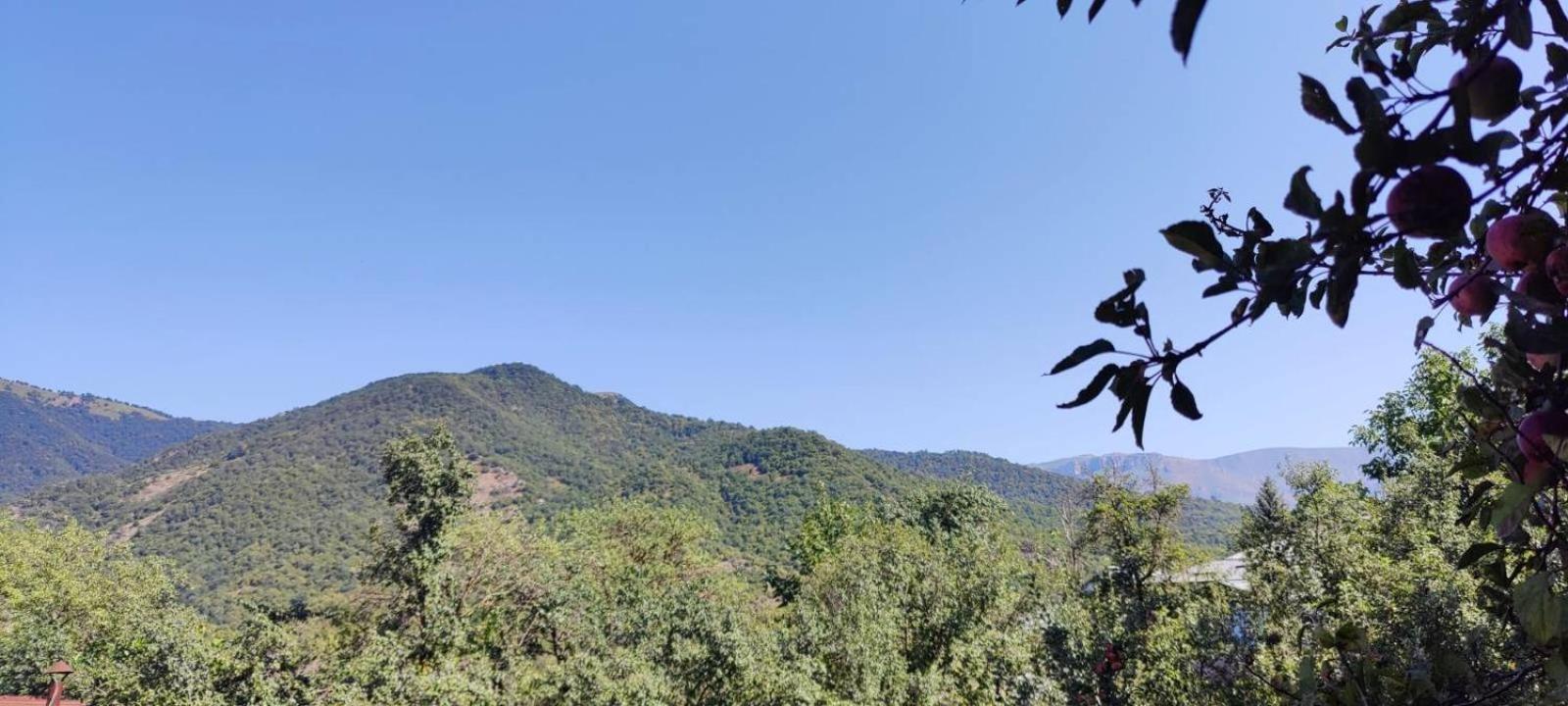Sunny Lodge Dilijan Exterior foto